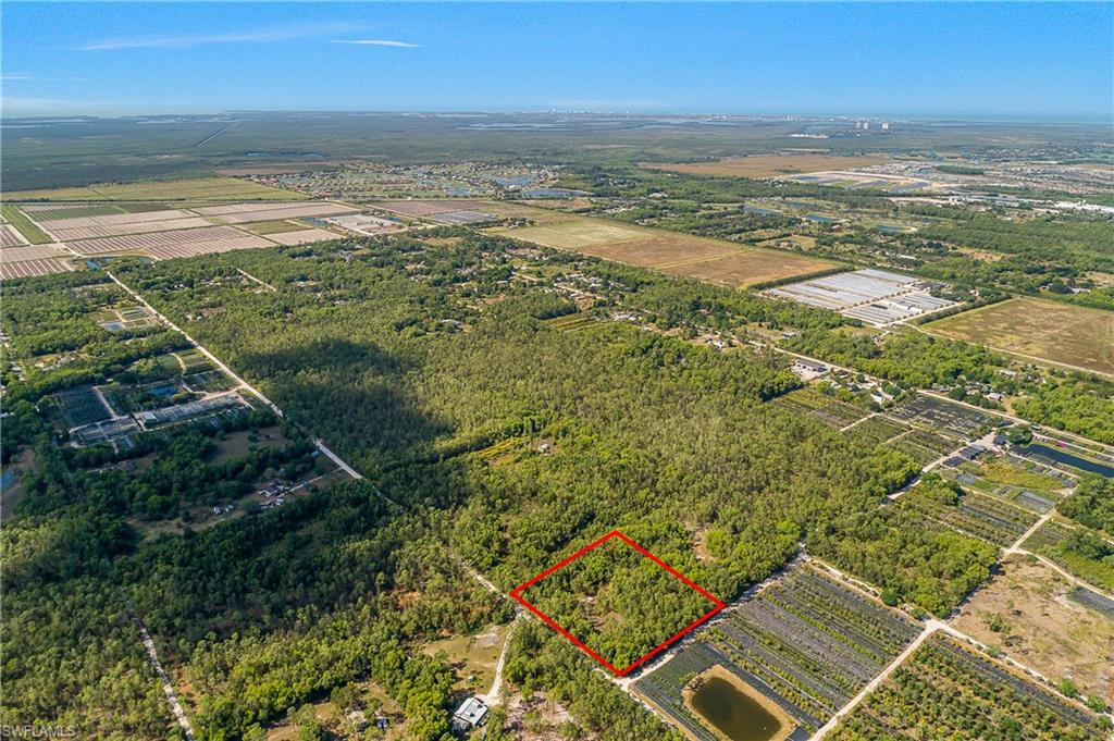 11175 Ladybug Ln Property Photo 14