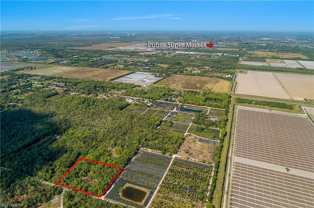 11175 Ladybug Ln Property Photo 15