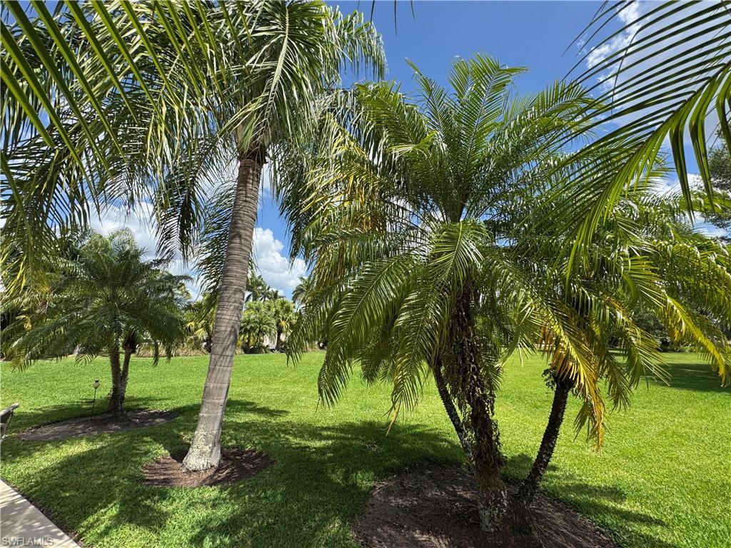 Lot 278 3010 Riverboat Lndg Property Photo 17