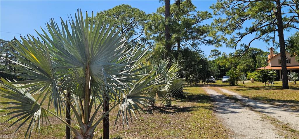 8051 Primrose Blvd Property Photo 23
