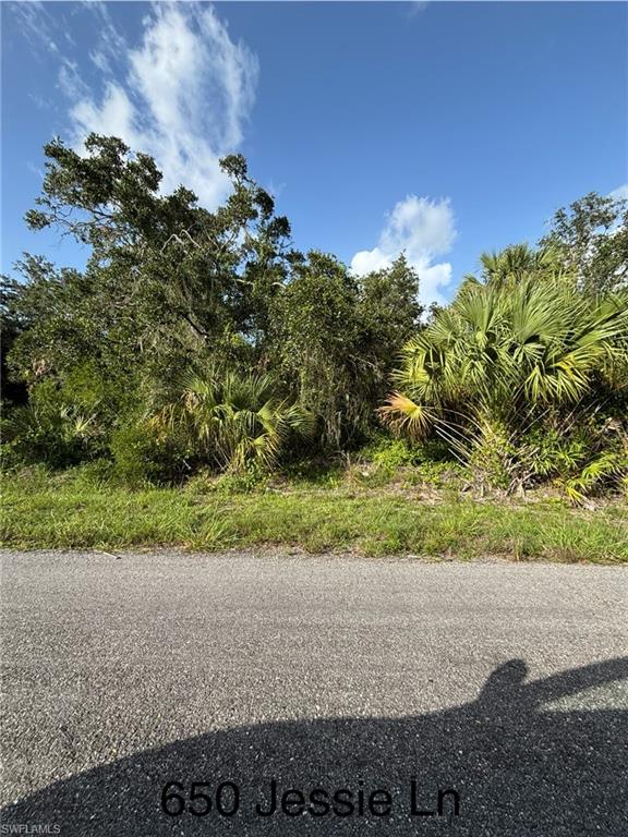650 Jessie LN Property Photo 1