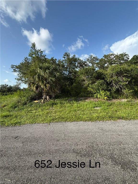 652 Jessie Ln Property Photo 1