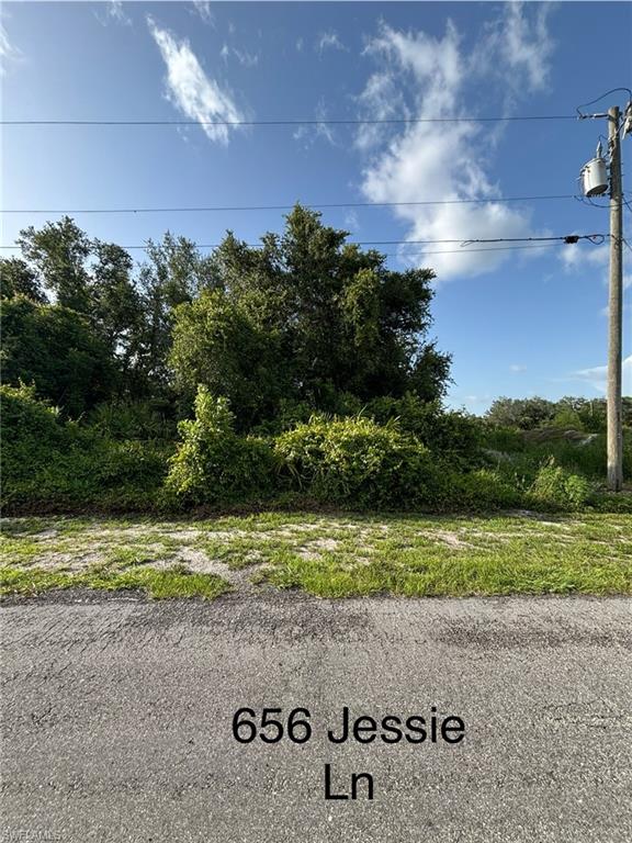 656 Jessie LN Property Photo 1