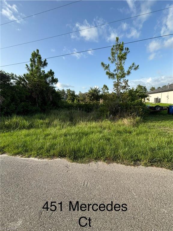 451 Mercedes Ct Property Photo 1