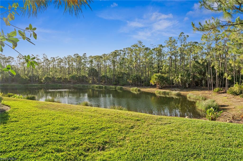 9391 Lakebend Preserve Ct Property Photo 48
