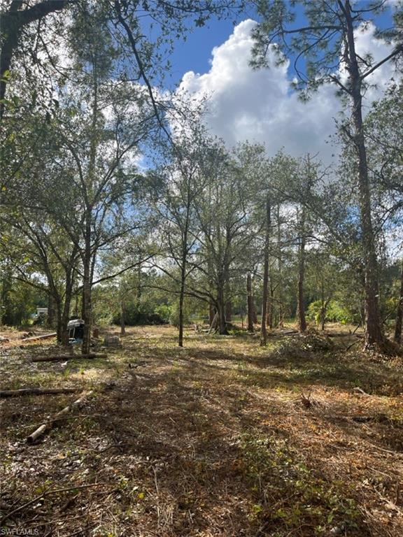 712 Woodland Blvd Property Photo 2