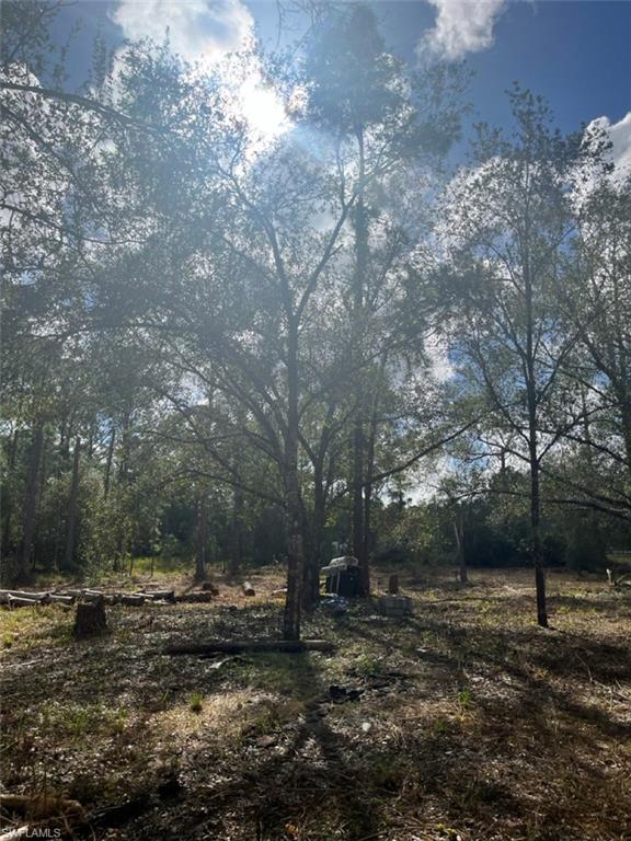 712 Woodland Blvd Property Photo 3