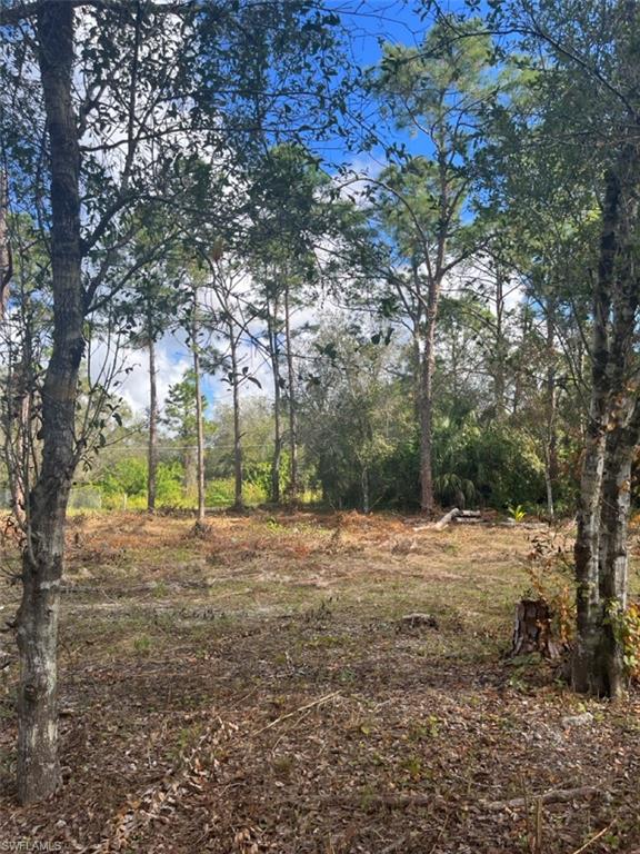 712 Woodland Blvd Property Photo 5