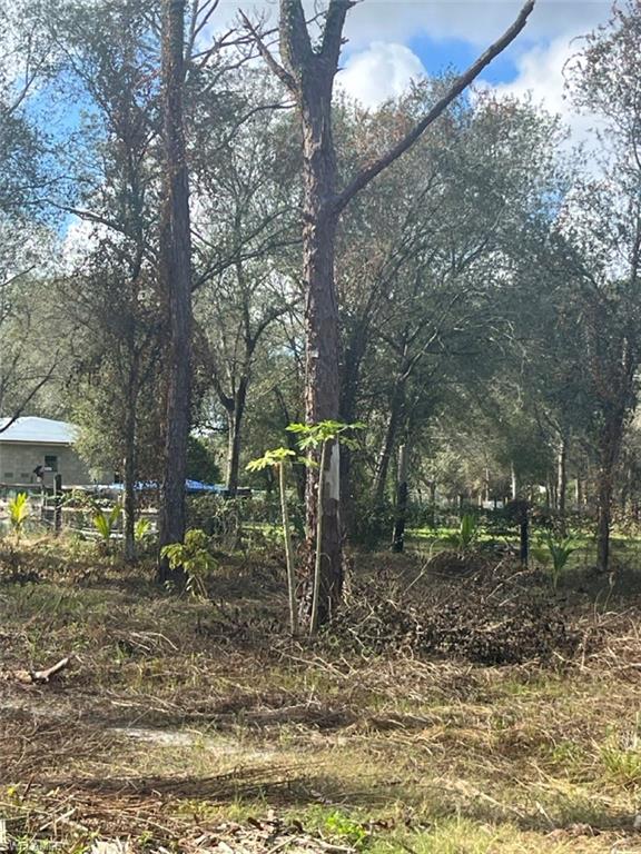 712 Woodland Blvd Property Photo 8