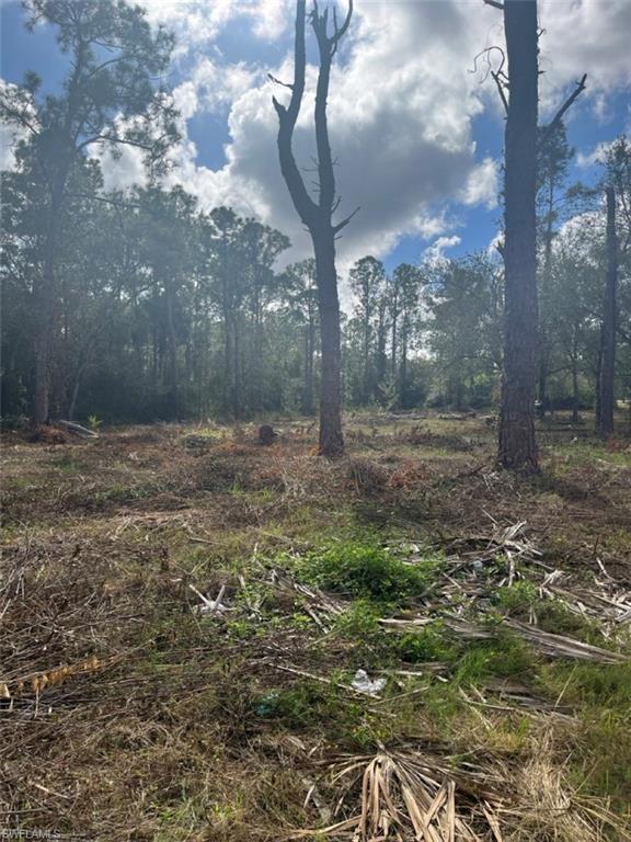 712 Woodland Blvd Property Photo 9