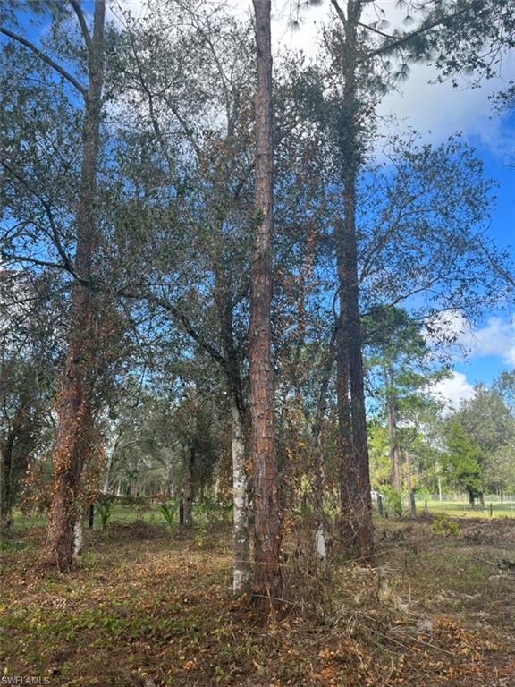 712 Woodland Blvd Property Photo 13