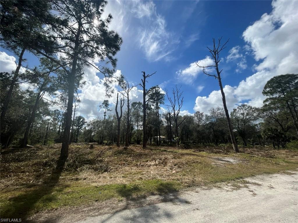 712 Woodland Blvd Property Photo 14
