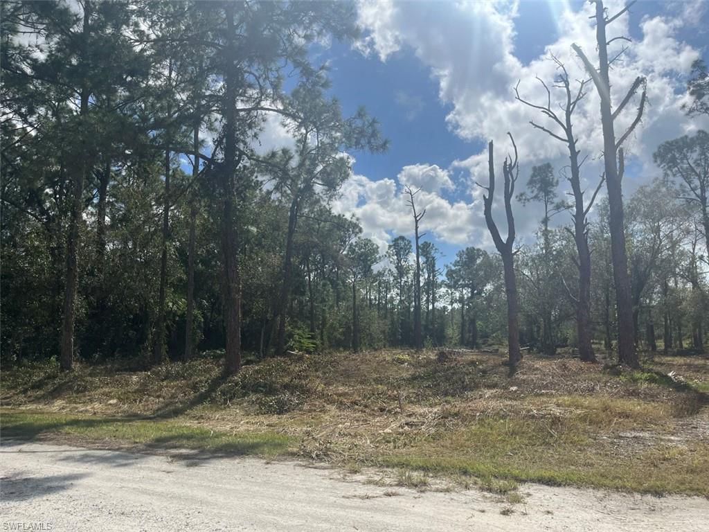 712 Woodland Blvd Property Photo 15