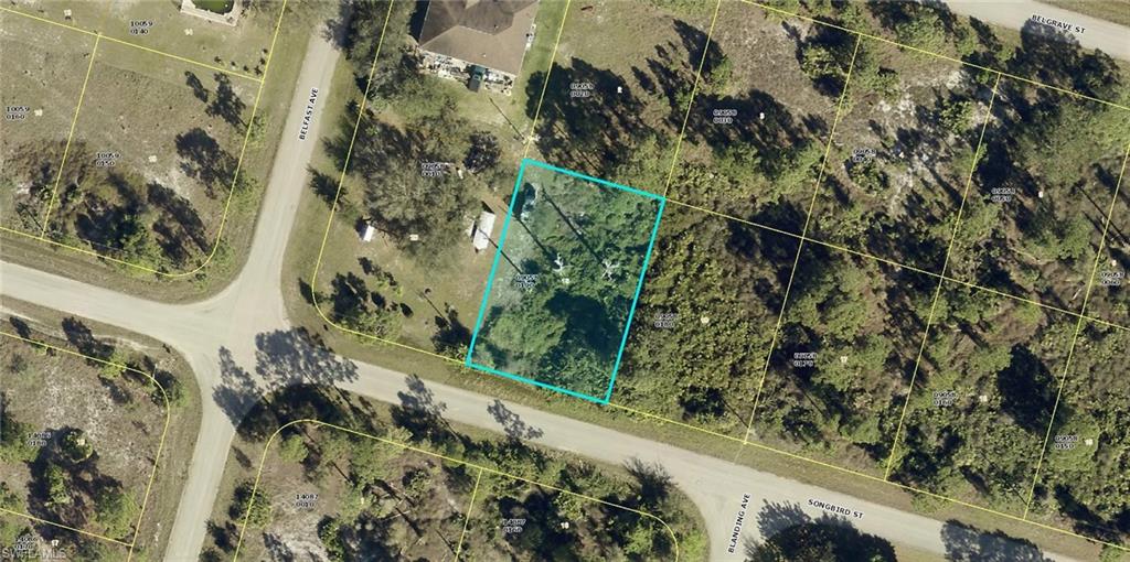 1233 Songbird St Property Photo 4