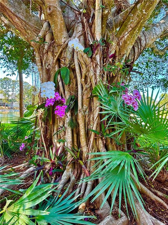 1220 Sarah Jean Cir # L103 Property Photo 33