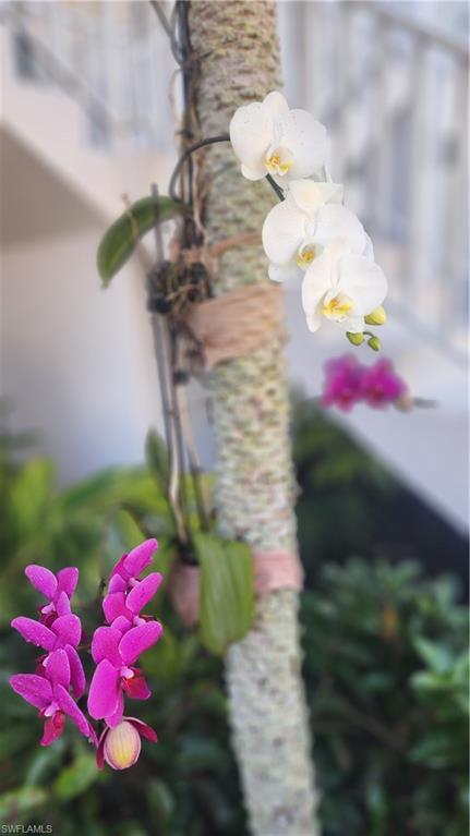 1220 Sarah Jean Cir # L103 Property Photo 34