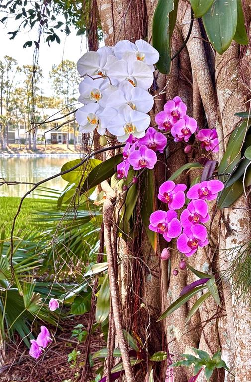 1220 Sarah Jean Cir # L103 Property Photo 35