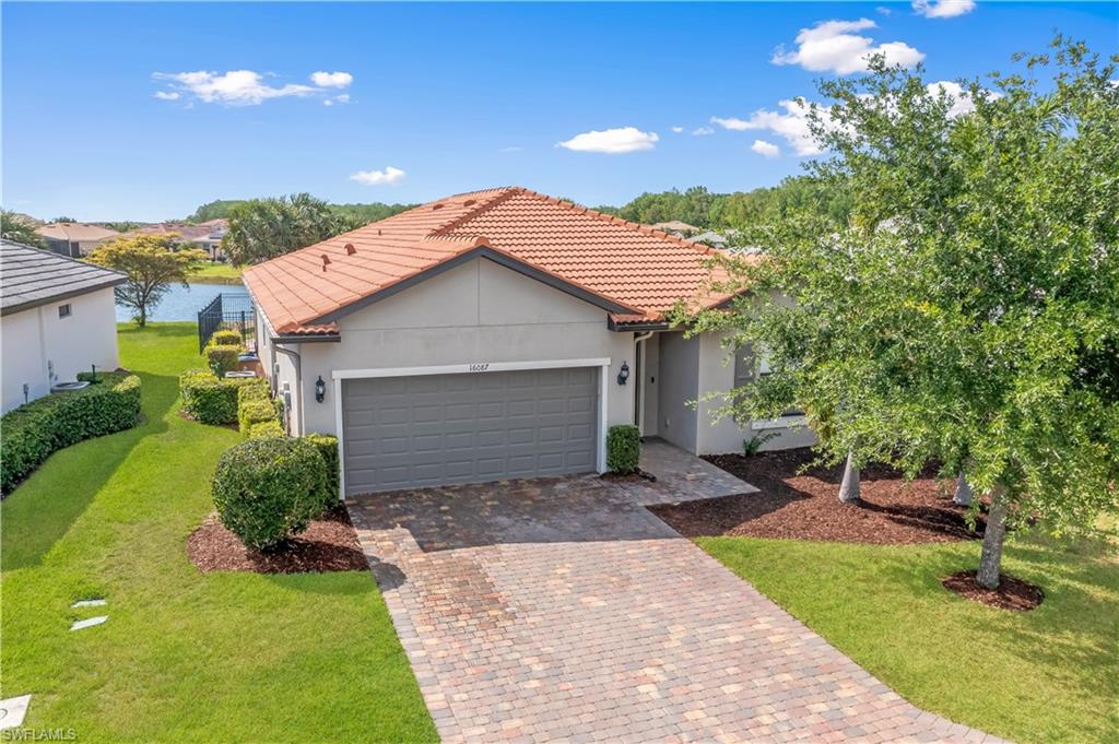 16087 Mistflower Dr Property Photo
