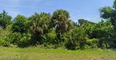 10228 Willmington Blvd Property Photo 2
