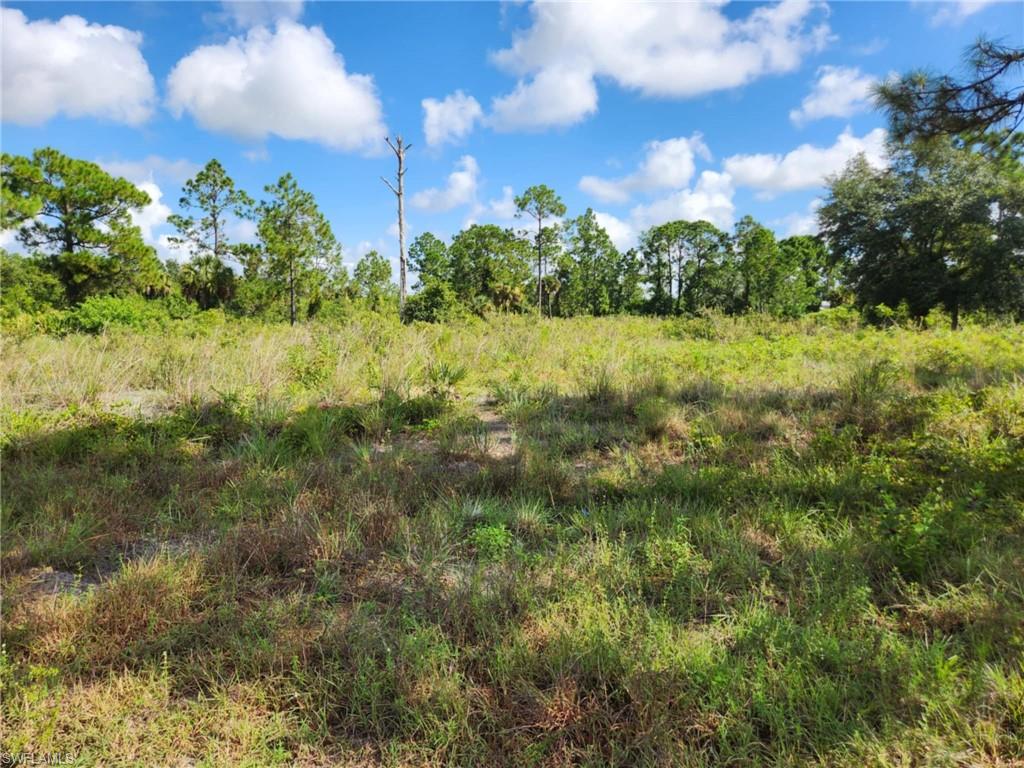 7932 4th Pl Property Photo 1