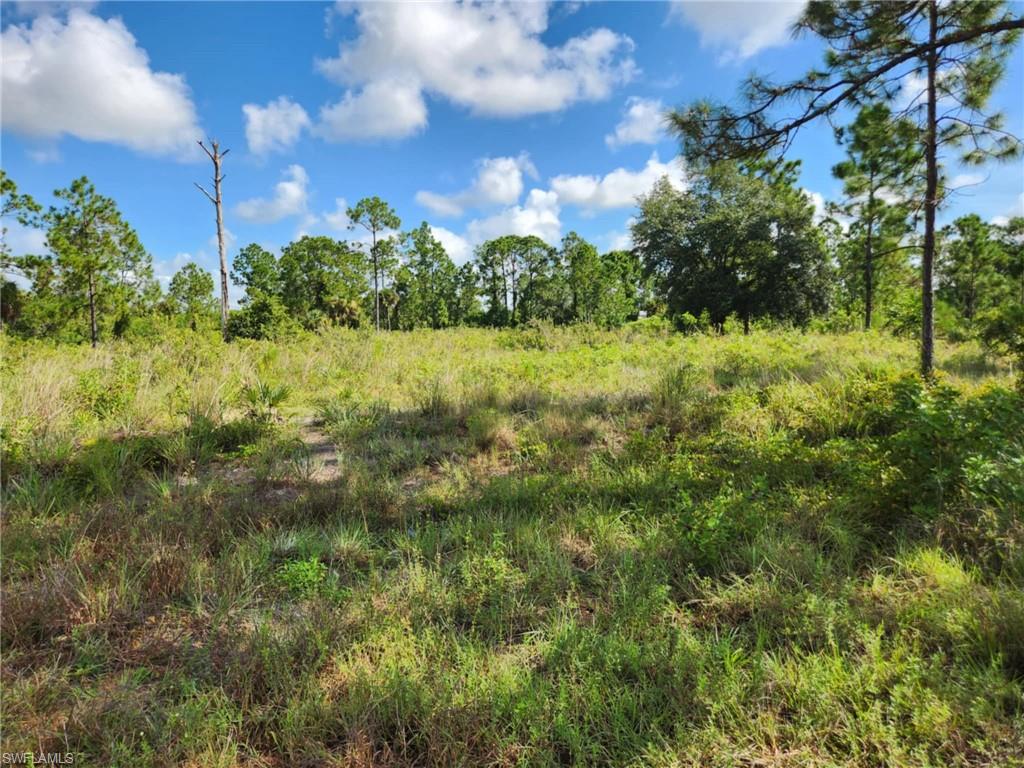 7932 4th Pl Property Photo 2