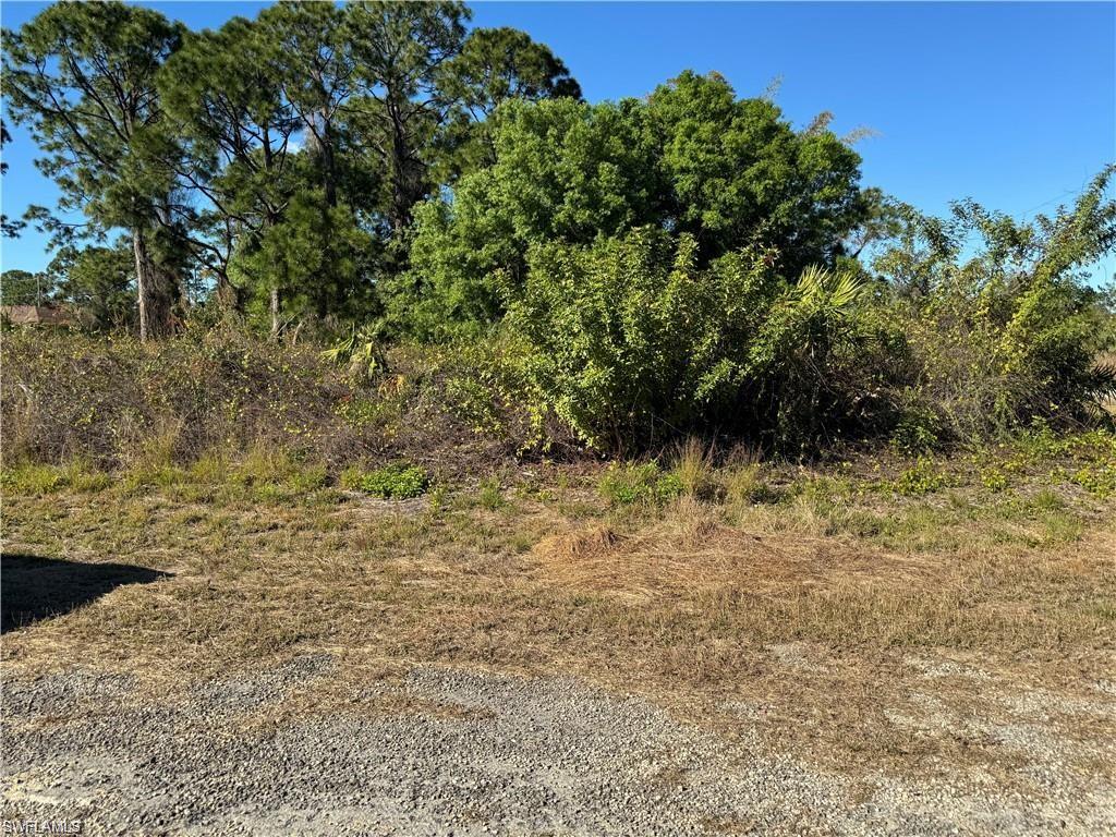 1069 Barrs St E Property Photo 2