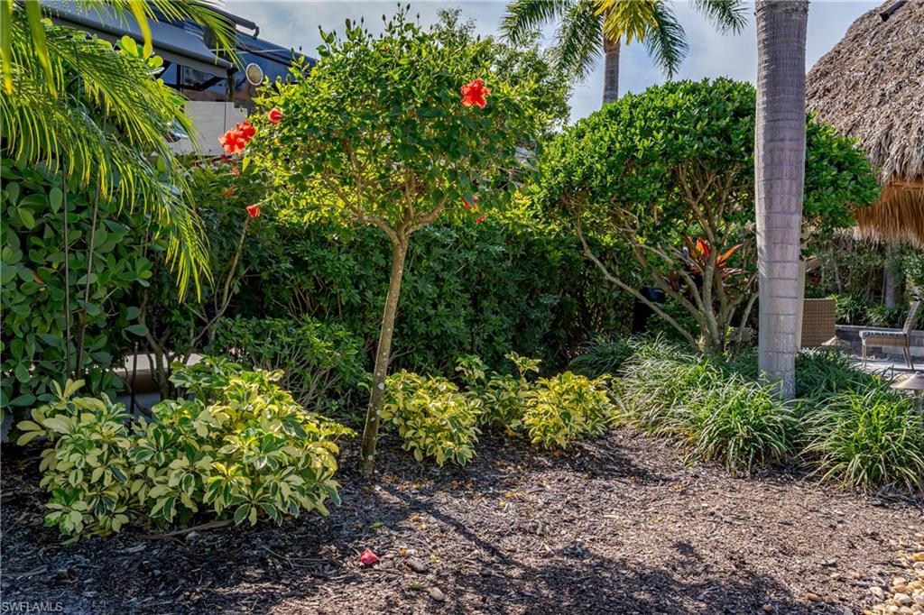 13568 Snook Cir Property Photo 16