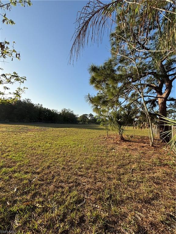 284 Avenida Del Property Photo 7