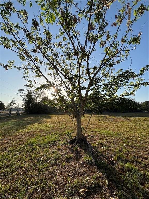 284 Avenida Del Property Photo 9