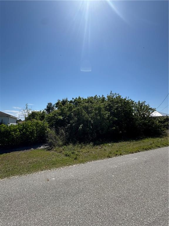 1114 Carl Ave Property Photo 5