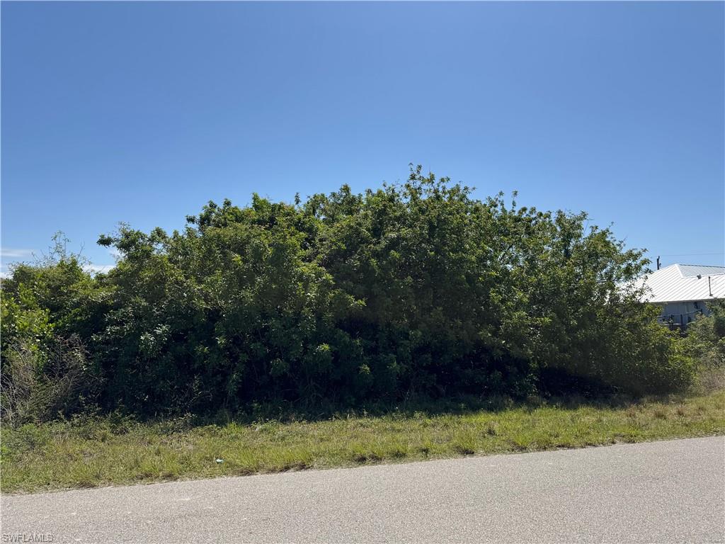 1114 Carl Ave Property Photo 6