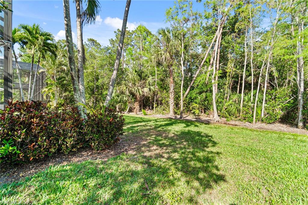2338 Butterfly Palm Dr Property Photo 40