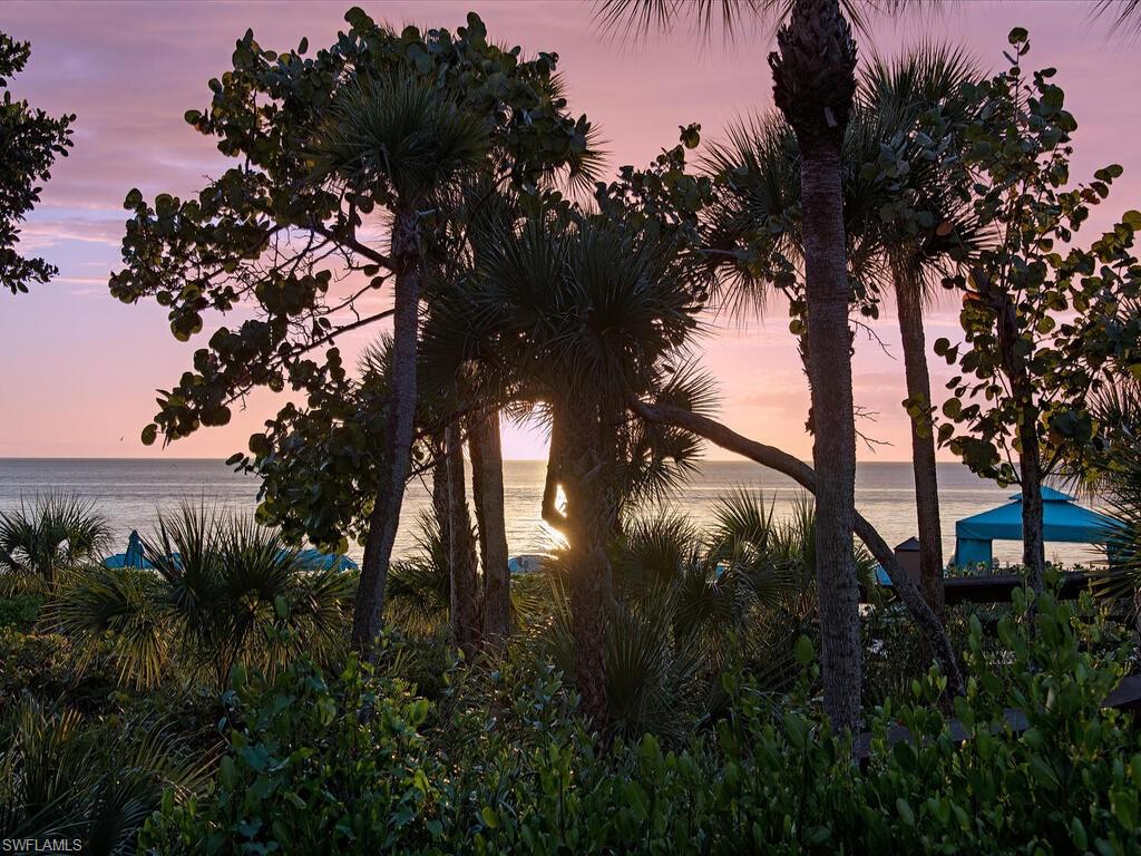 8111 Bay Colony Dr # 1403 Property Photo 31