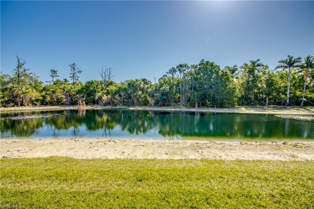 14831 Park Lake Dr # 206 Property Photo 32