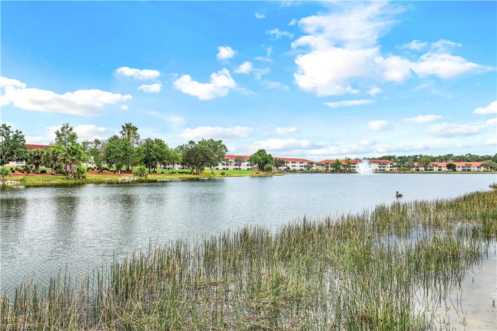 2870 Cypress Trace Cir # 1713 Property Photo 29