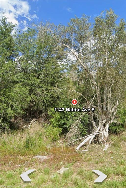 1143 Hatton Ave S Property Photo 4
