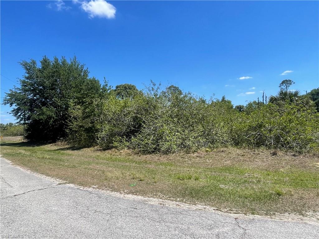 7026 Calder Ct Property Photo 2