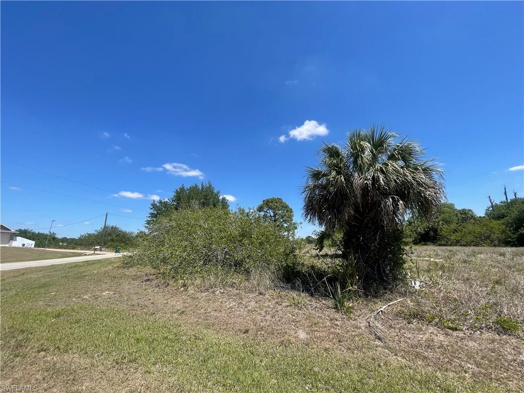 7026 Calder Ct Property Photo 3
