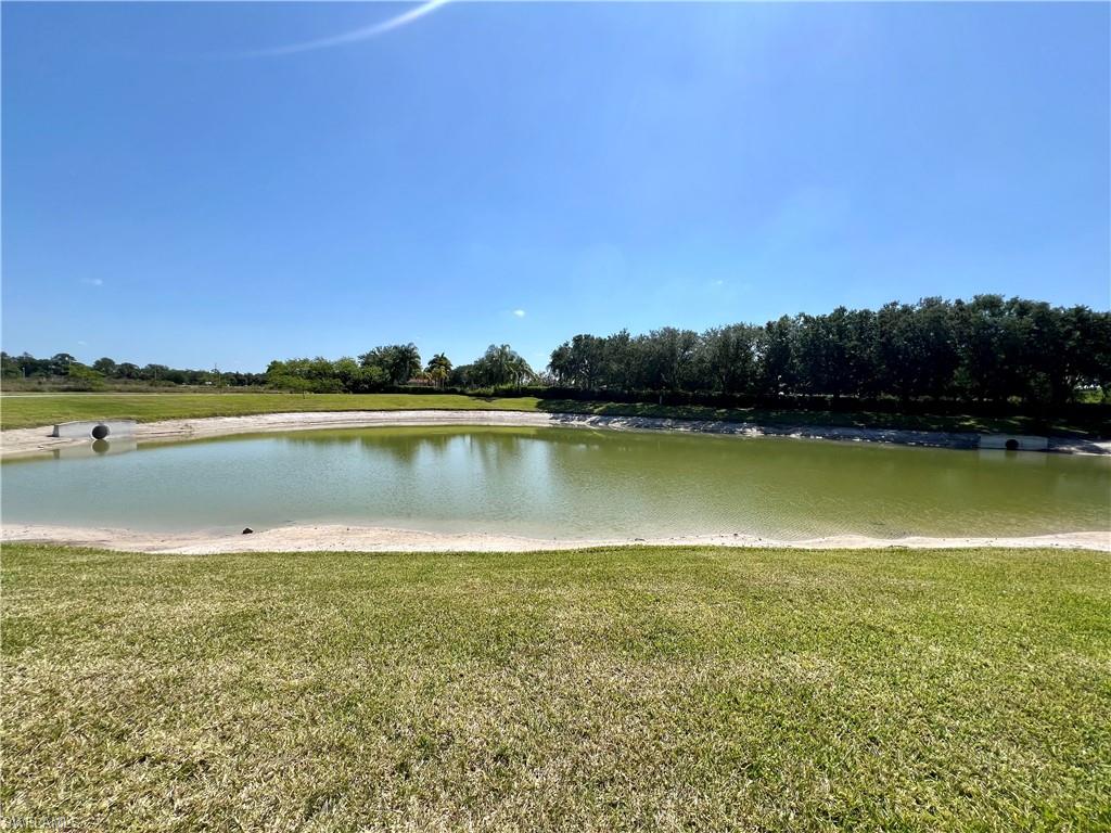 10293 Silver Pond Ln Property Photo 12
