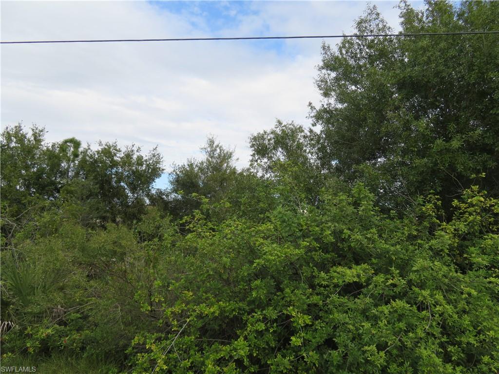 2028 Wanda Ave N Property Photo 4