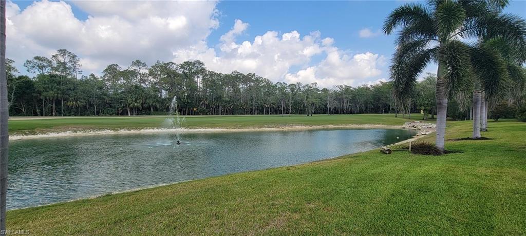 28880 Marsh Elder Ct Property Photo 14