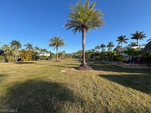 10262 Meadow Beauty Trl Property Photo 8