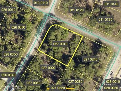 331 Mangonia AVE Property Photo 1