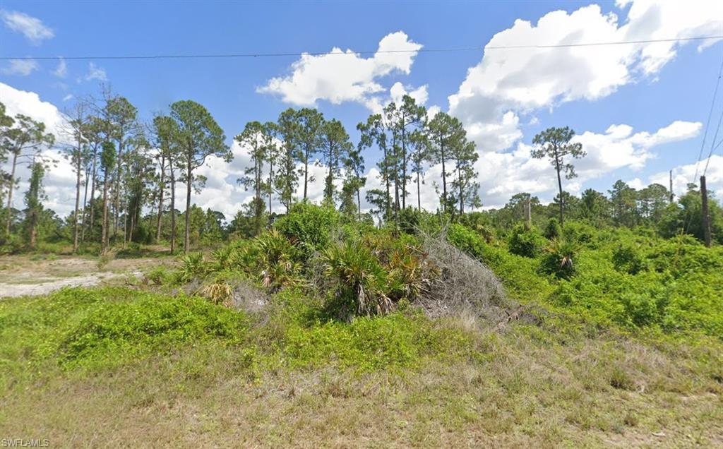 755 Pinecastle Dr Property Photo 1