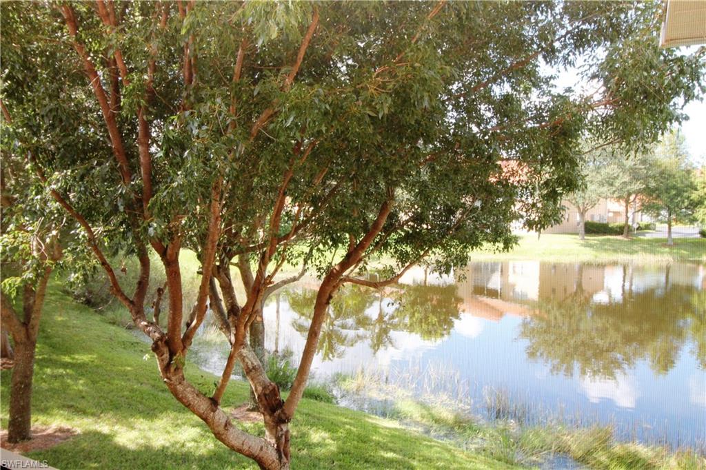 26760 Rosewood Pointe Ln # 201 Property Photo 18