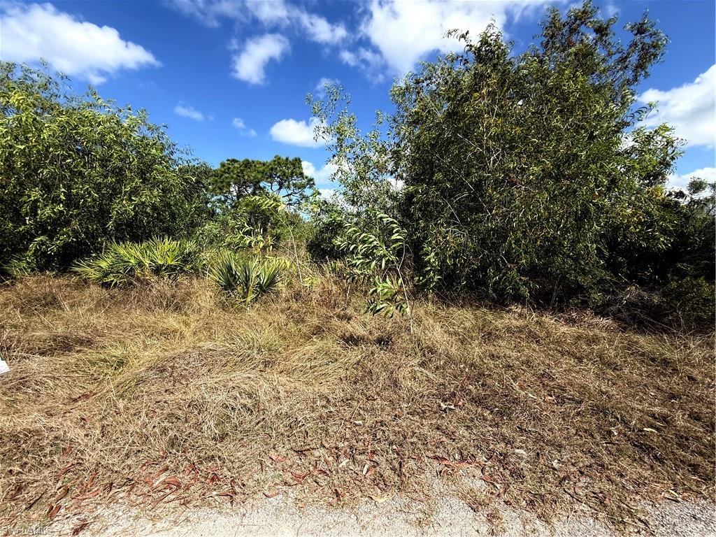 5950 Sandal Ln Property Photo 6