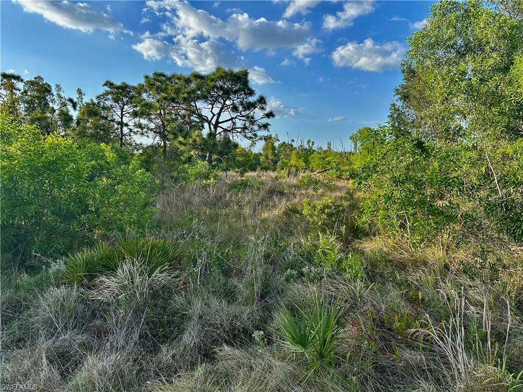 5950 Sandal LN Property Photo 1