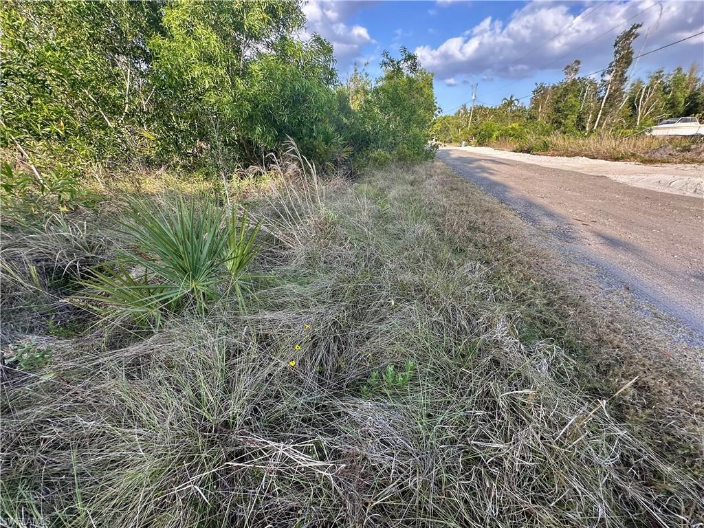 5950 Sandal Ln Property Photo 3