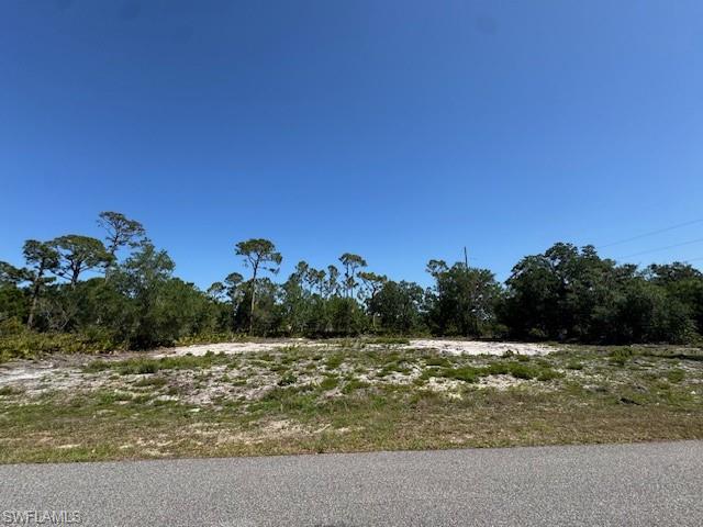 21084 Dearman Ave Property Photo 4