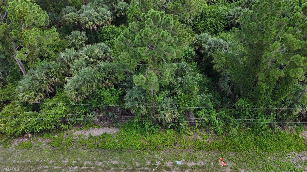 1240 Creary ST E Property Photo 1